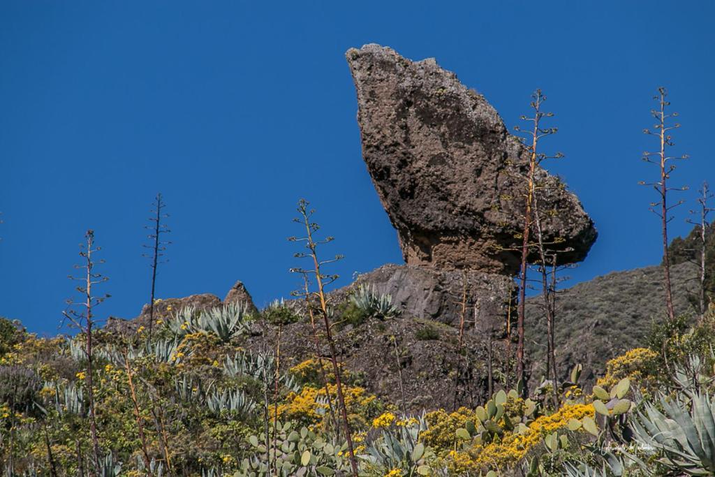 Chalet Rutas De Valsequillo المظهر الخارجي الصورة